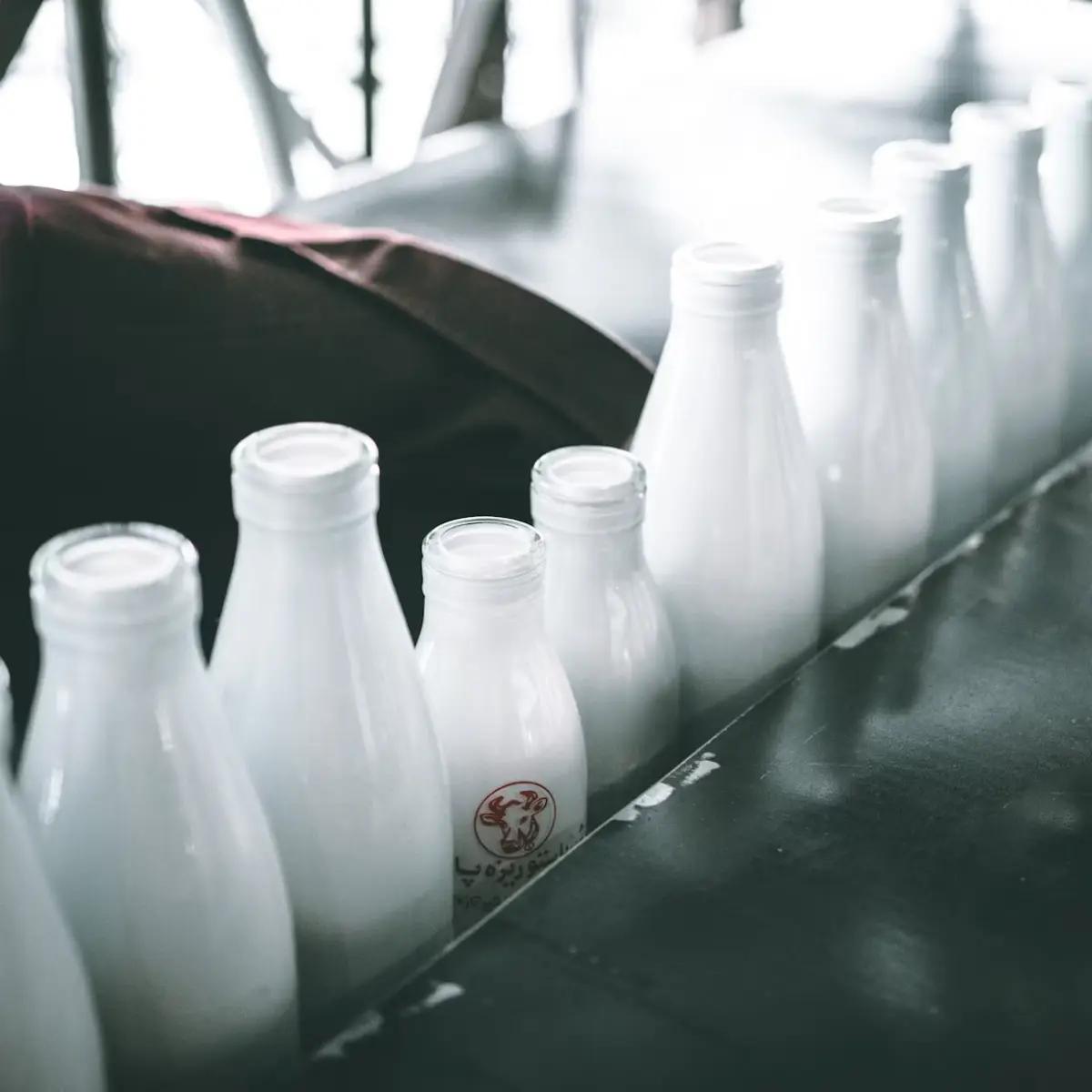 乳制品与蛋品